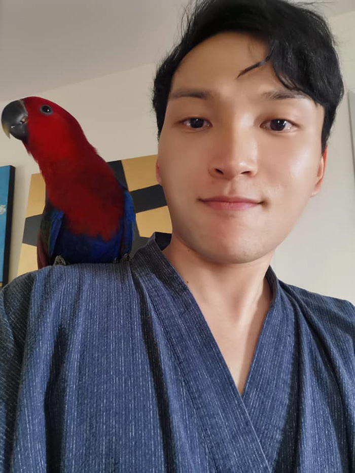 เจ้าแฟนต้า นกแก้วหาย