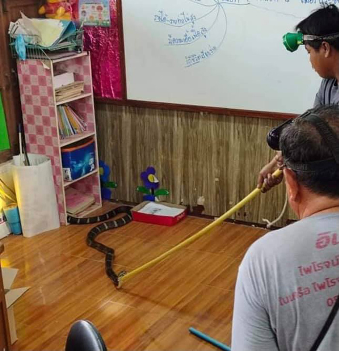 งูจงอาง