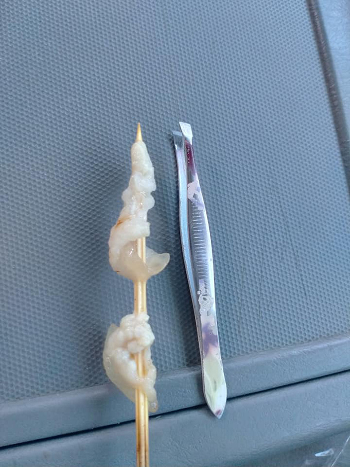 หมูไม้ละ 5 บาท