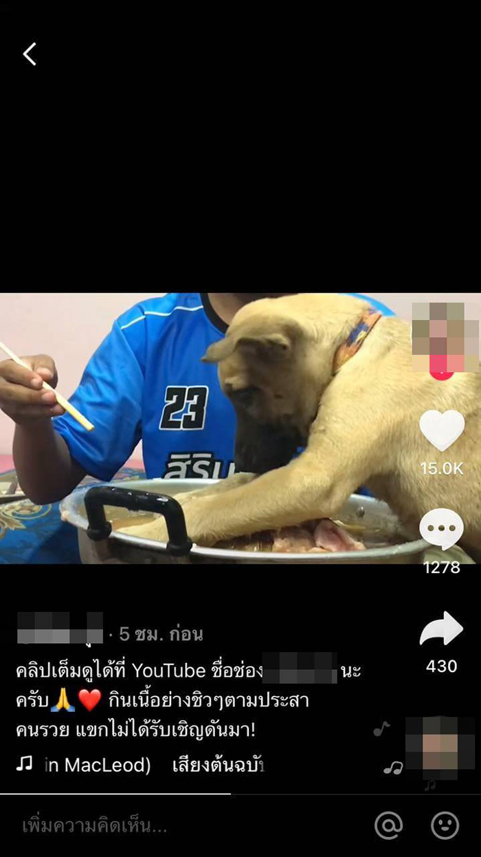 หนุ่มอัดคลิปกินหมูกระทะ