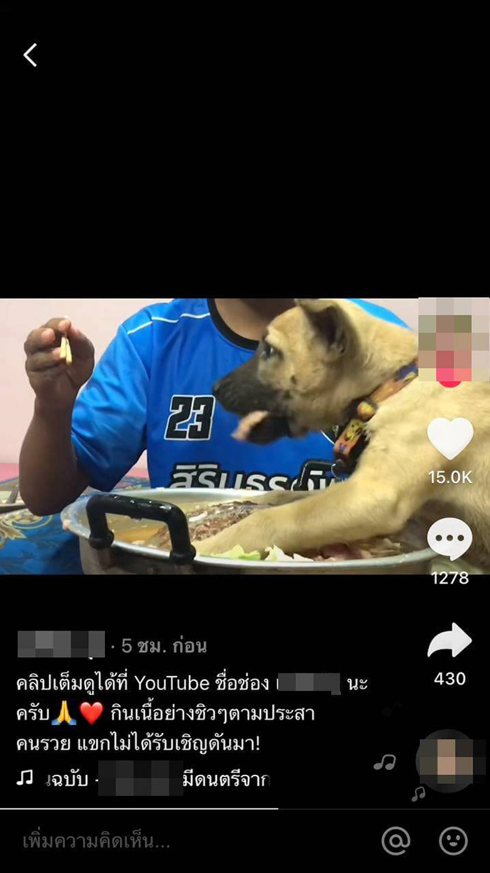 หนุ่มอัดคลิปกินหมูกระทะ