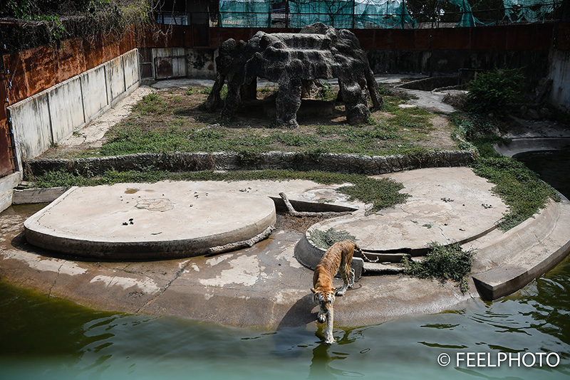 เจ้าของฟาร์มจระเข้ แจง