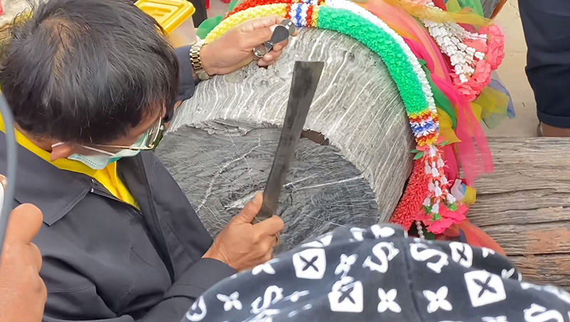 ไม้มะค่าแต้