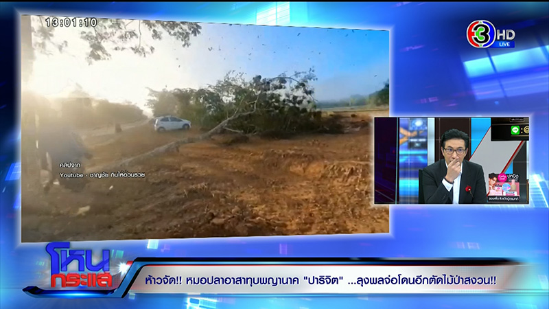 โค่นต้นไม้