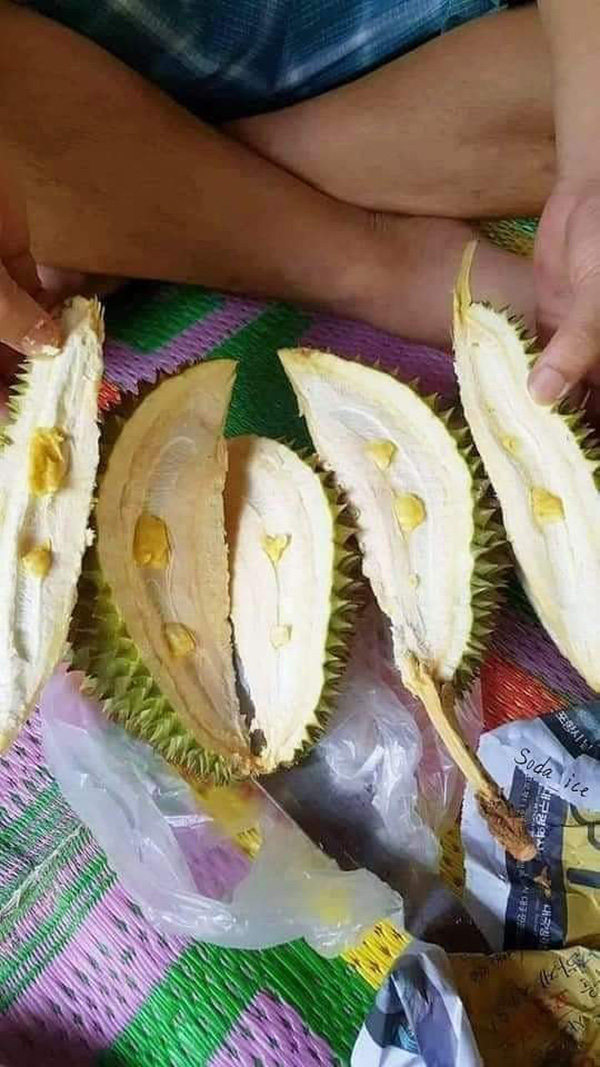 ทุเรียน