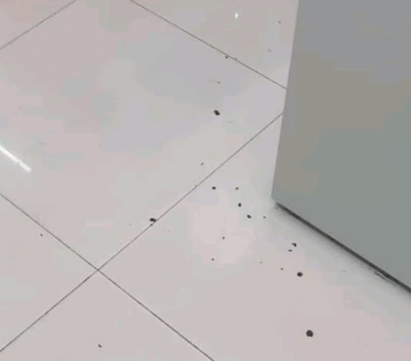 มนุษย์ลุง 