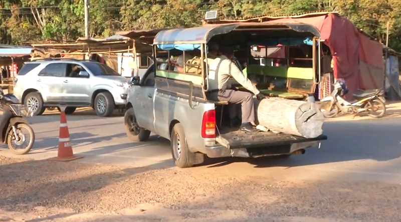 ไม้มะค่าแต้