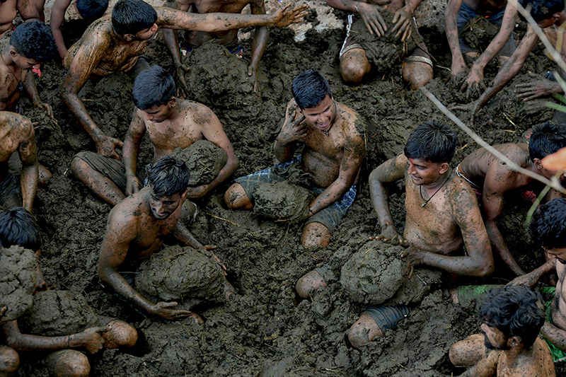 อินเดียครื้นเครง เทศกาลปามูลวัว