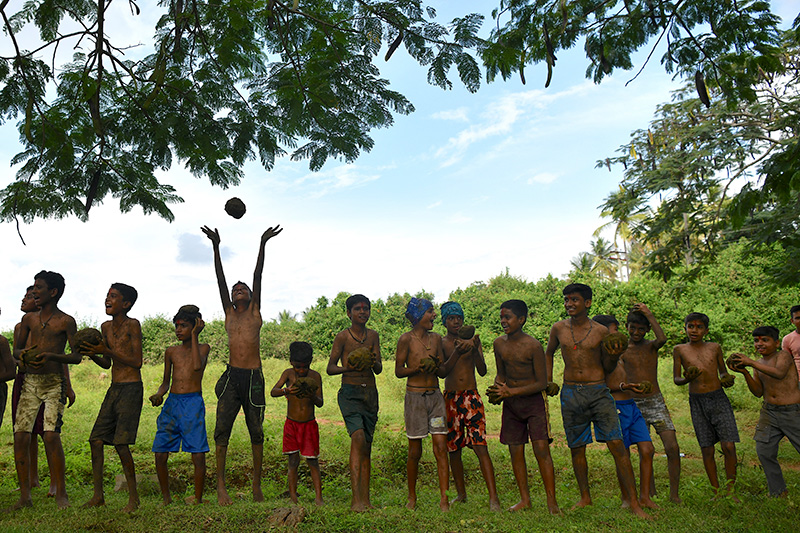 อินเดียครื้นเครง เทศกาลปามูลวัว