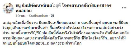 หนุ่มใจบุญเห็นน้องแมลงสาบโดนเหยียบอาการสาหัส 