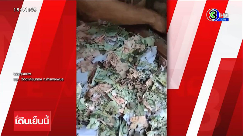 ปลวกขึ้นตู้บริจาคกินเงินหายเป็นหมื่น 