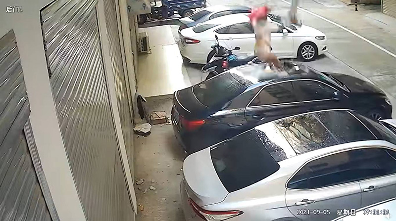 สาวเปลือยท่อนล่างร่วงใส่รถ ชายปรี่หา