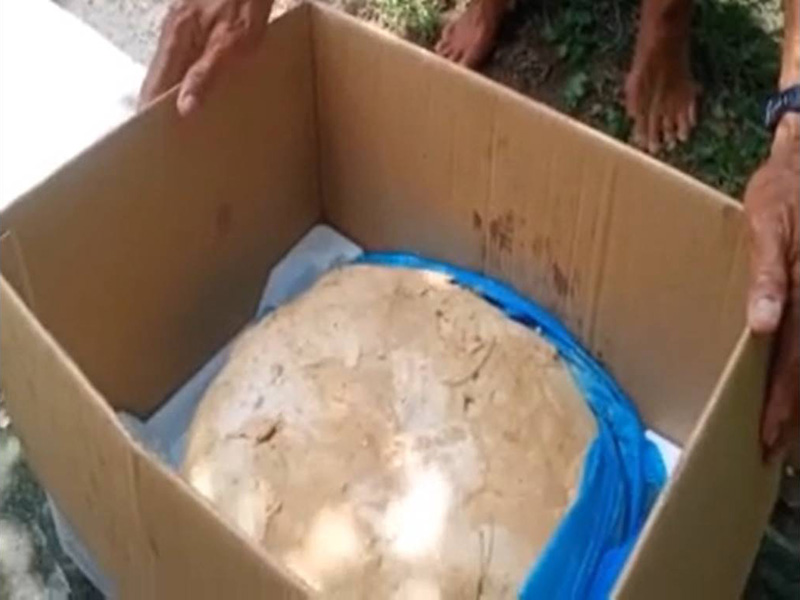 ชายชาวภูเก็ต เจอซากคล้าย อ้วกวาฬ