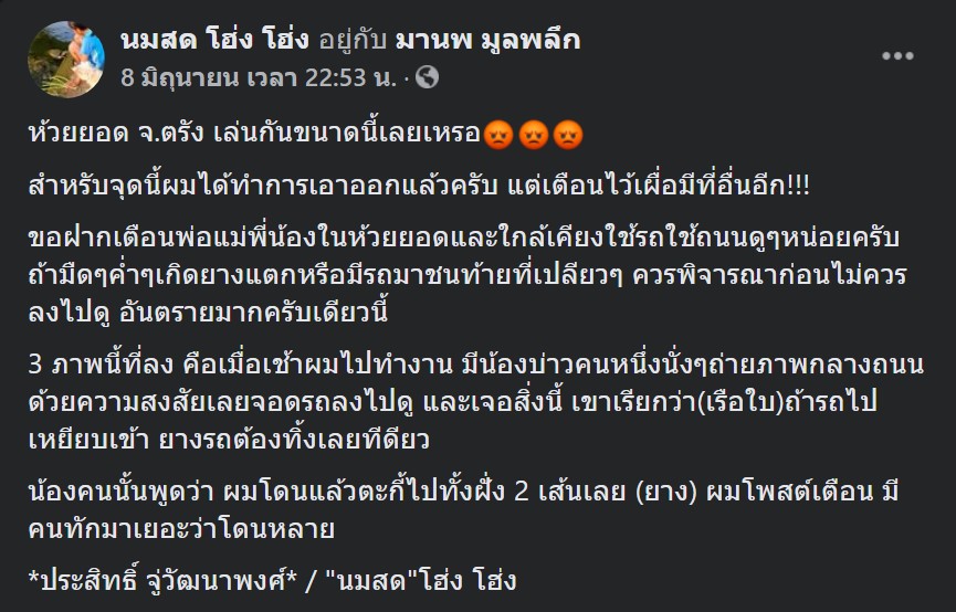 กับดักตะปูเรือใบ