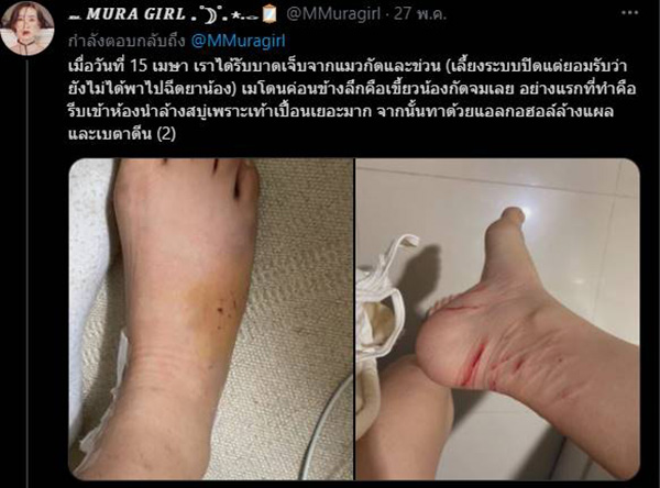 อุทาหรณ์คนเลี้ยงแมว ! 