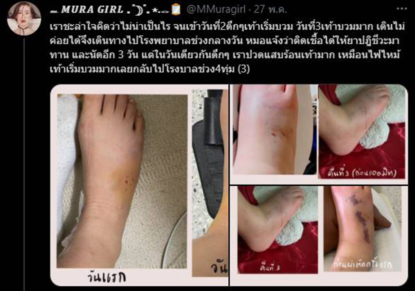 อุทาหรณ์คนเลี้ยงแมว ! 