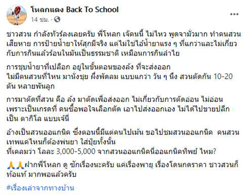 คอมเมนต์