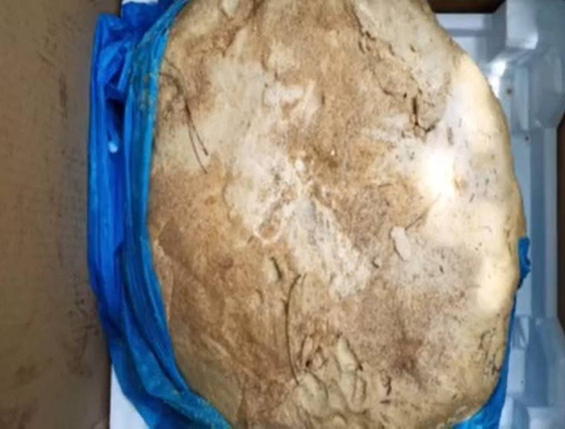 ชายชาวภูเก็ต เจอซากคล้าย อ้วกวาฬ