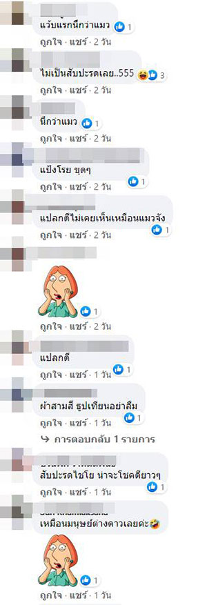คอมเมนต์