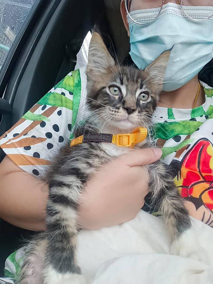 เผาแล้ว...สาวเหยื่อ BMW