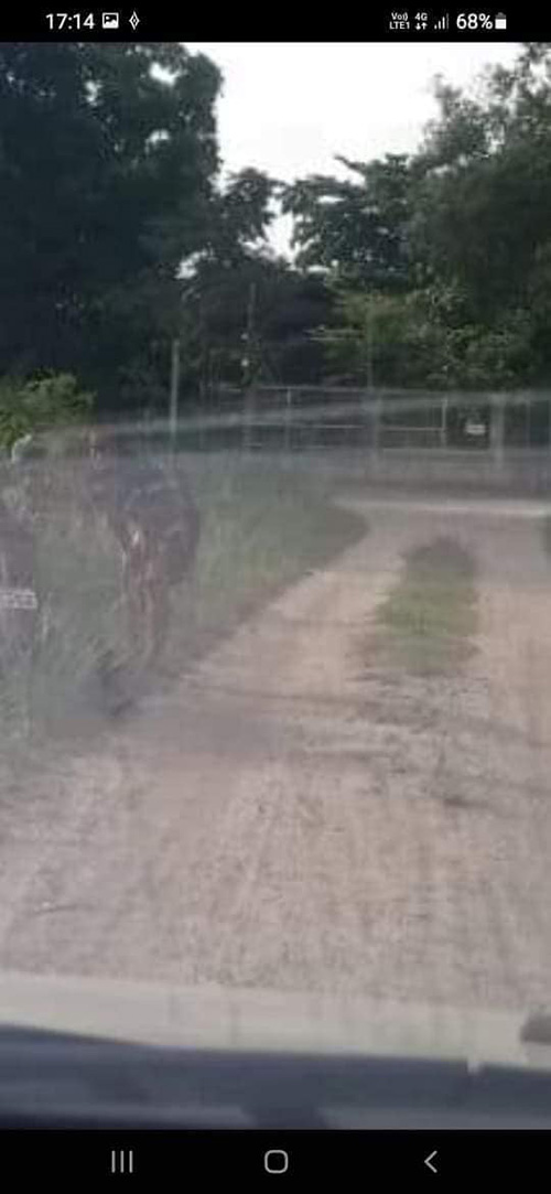 หลอน...หนุ่มกะถ่ายรูปส่งพิกัดใกล้สุสาน