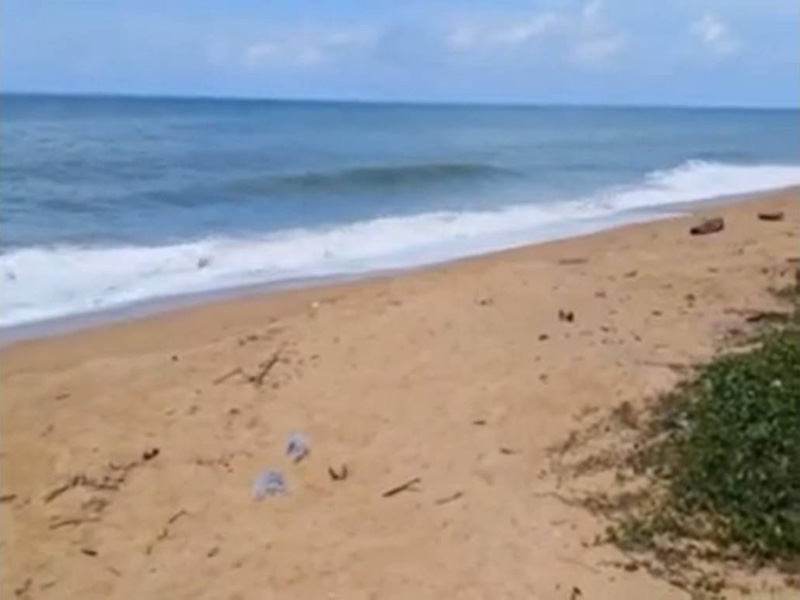 ชายชาวภูเก็ต เจอซากคล้าย อ้วกวาฬ