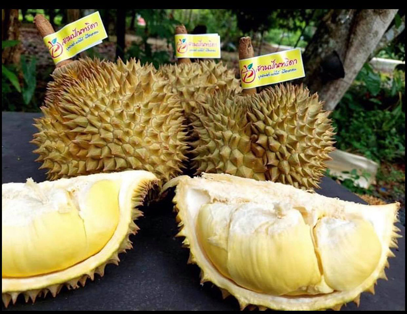 แฉสวนทุเรียนโกงค่าบุฟเฟ่ต์ ซื้อบัตร 2 ล้านไม่ได้กิน