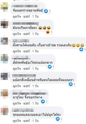 คอมเมนต์