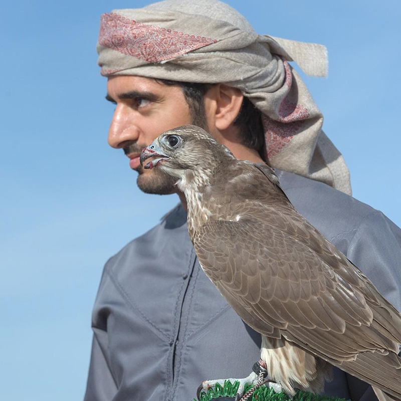 ชีค ฮัมดาน เจ้าชายดูไบ