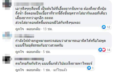 คอมเมนต์