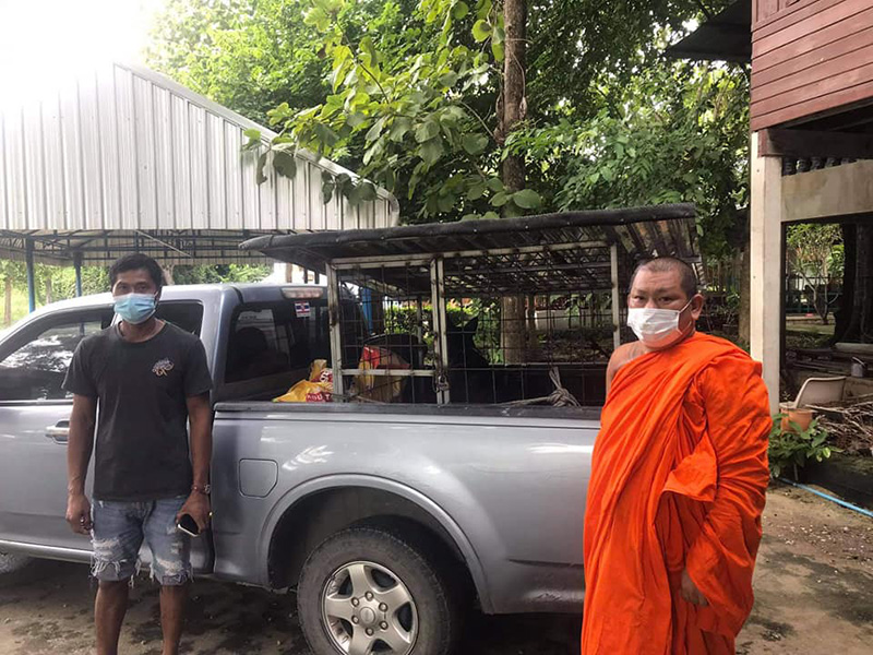 เวรกรรมของพระ คนทิ้งพิตบูลใต้กุฏิ 