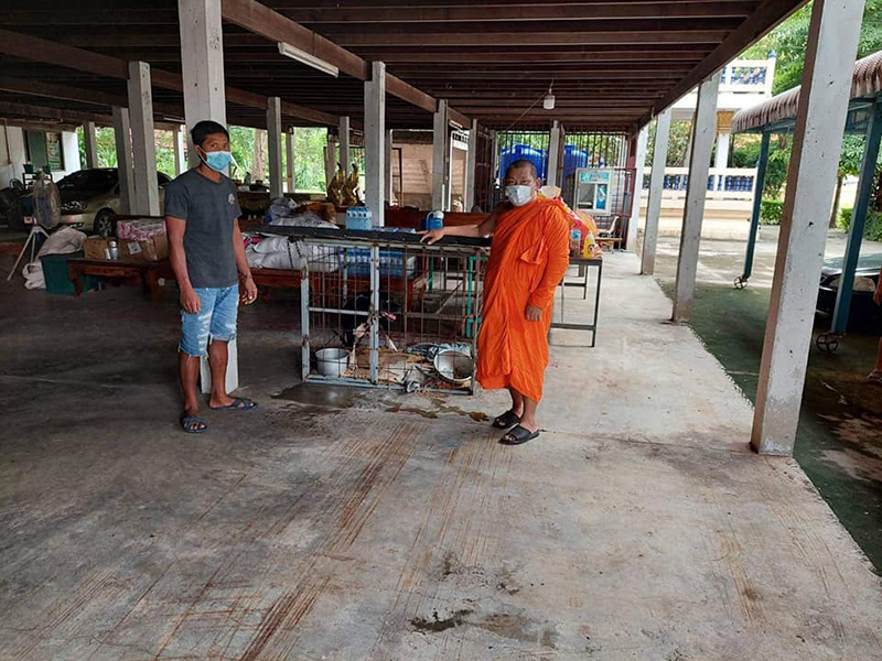 เวรกรรมของพระ คนทิ้งพิตบูลใต้กุฏิ 