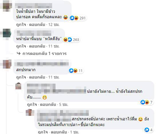คอมเมนต์