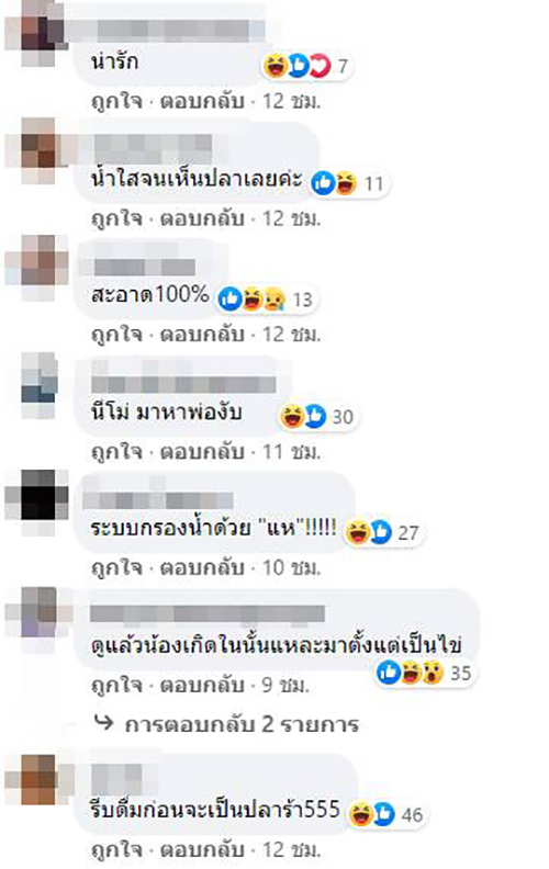 คอมเมนต์