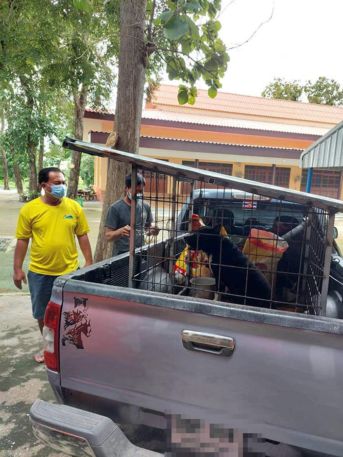 เวรกรรมของพระ คนทิ้งพิตบูลใต้กุฏิ 