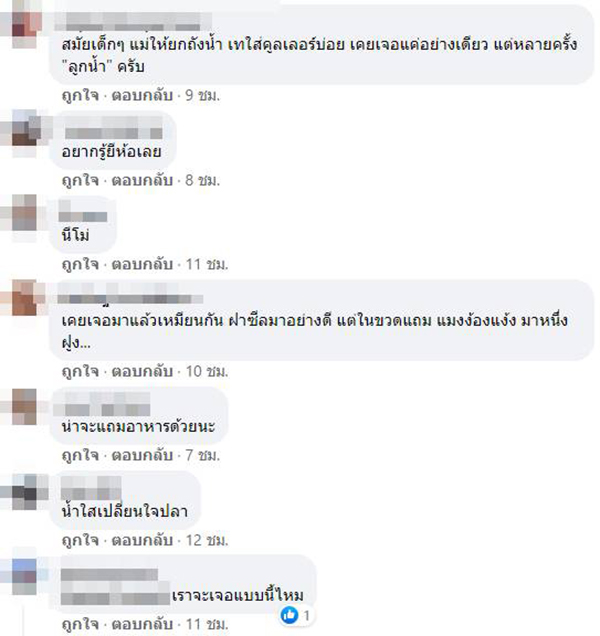 คอมเมนต์