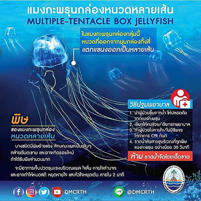 แมงกะพรุน