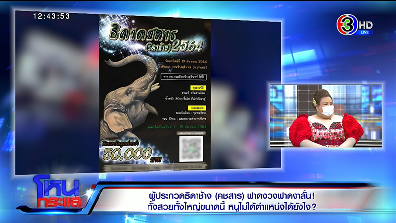 ผู้ประกวดธิดาช้าง ฟาดจนเวทีต้องยอมแบ่งเงิน 7 คน