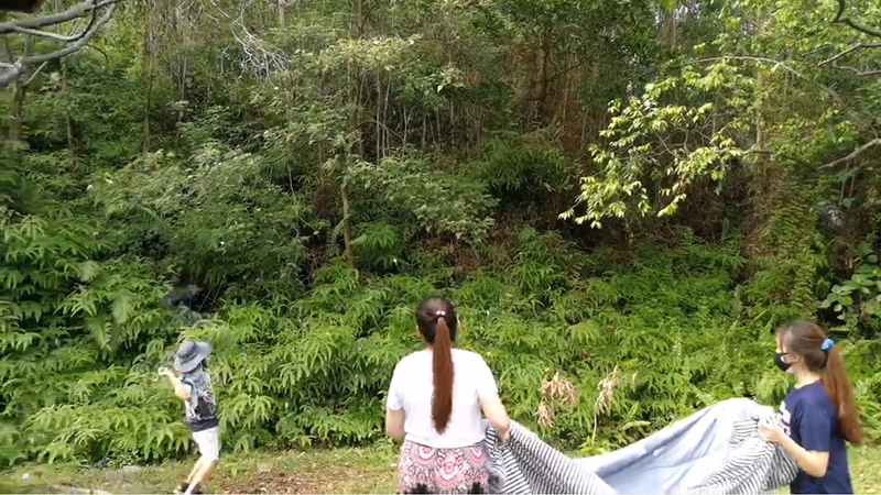 ลิงฉกลูกหมา ทำกังวลทั้งหมู่บ้าน