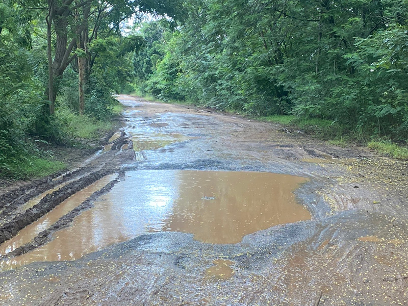 ถนนทางเข้าบ้านเกิด ลิซ่า 