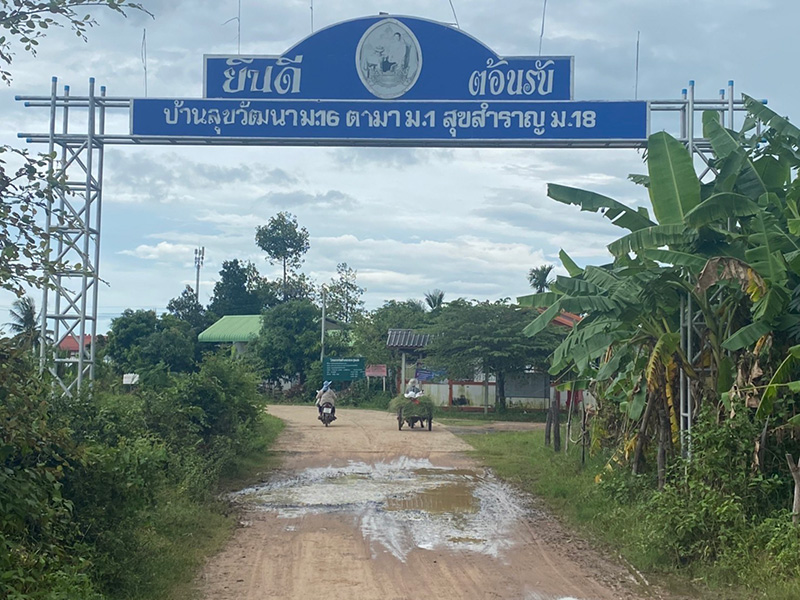 ถนนทางเข้าบ้านเกิด ลิซ่า 