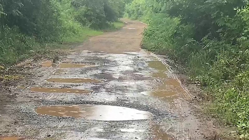 ถนนทางเข้าบ้านเกิด ลิซ่า 