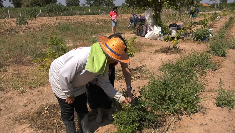 ลูกเปิดใจ ควัก 6 แสนซื้อที่ดินคืนแม่ 