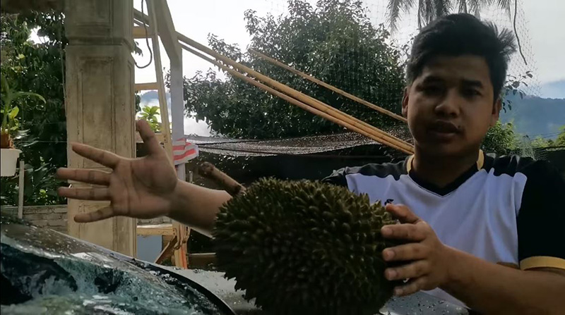 หนุ่มประชดขายอภินิหารทุเรียนบิน