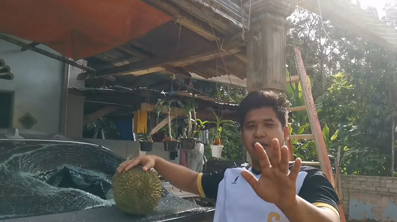 หนุ่มประชดขายอภินิหารทุเรียนบิน