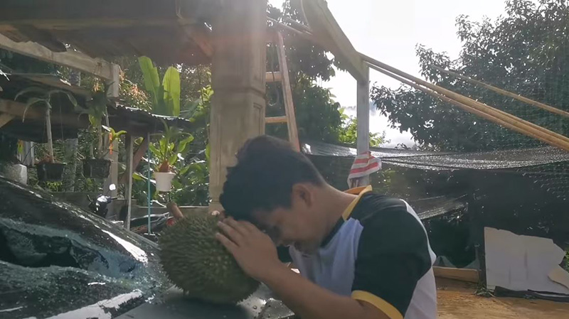 หนุ่มประชดขายอภินิหารทุเรียนบิน