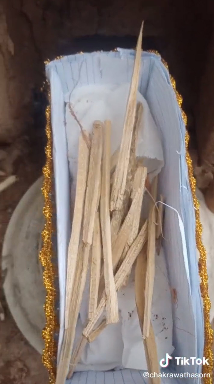 เด็กน้อยอัดคลิป ฌาปนกิจปลาทอง