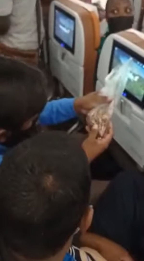 หนุ่มแบกตั๊กแตนทอดขายบนเครื่องบิน