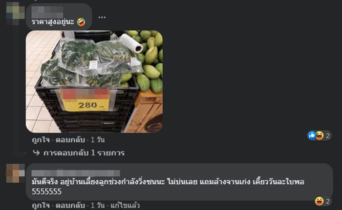 ใบกระท่อม