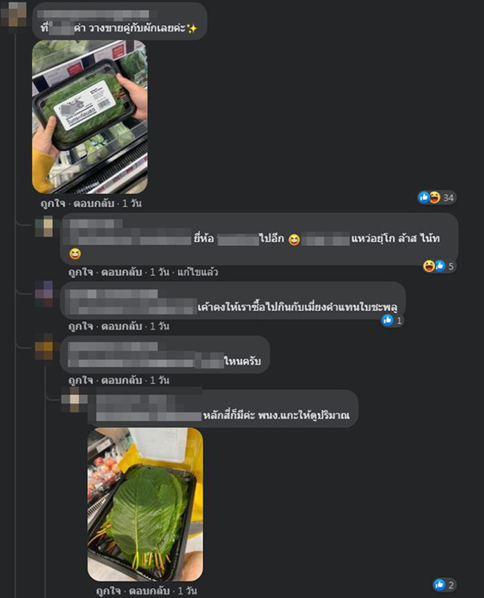 ใบกระท่อม